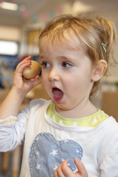 Yellow Door Sensory Sound Eggs