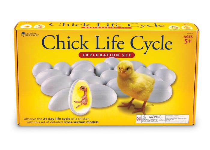 Learning Resources Chick Life Cycle Exploration Set