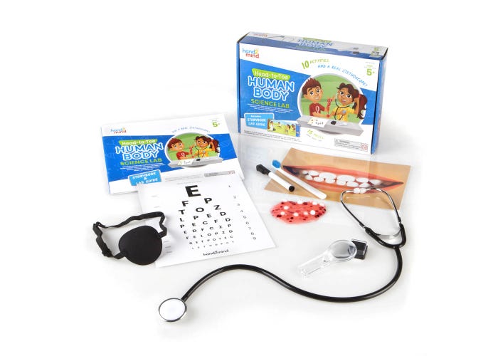 Learning Resources hand2mind Head-To-Toe Human Body Science Lab