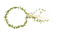 Vah Hair Wreath Florentine Cream