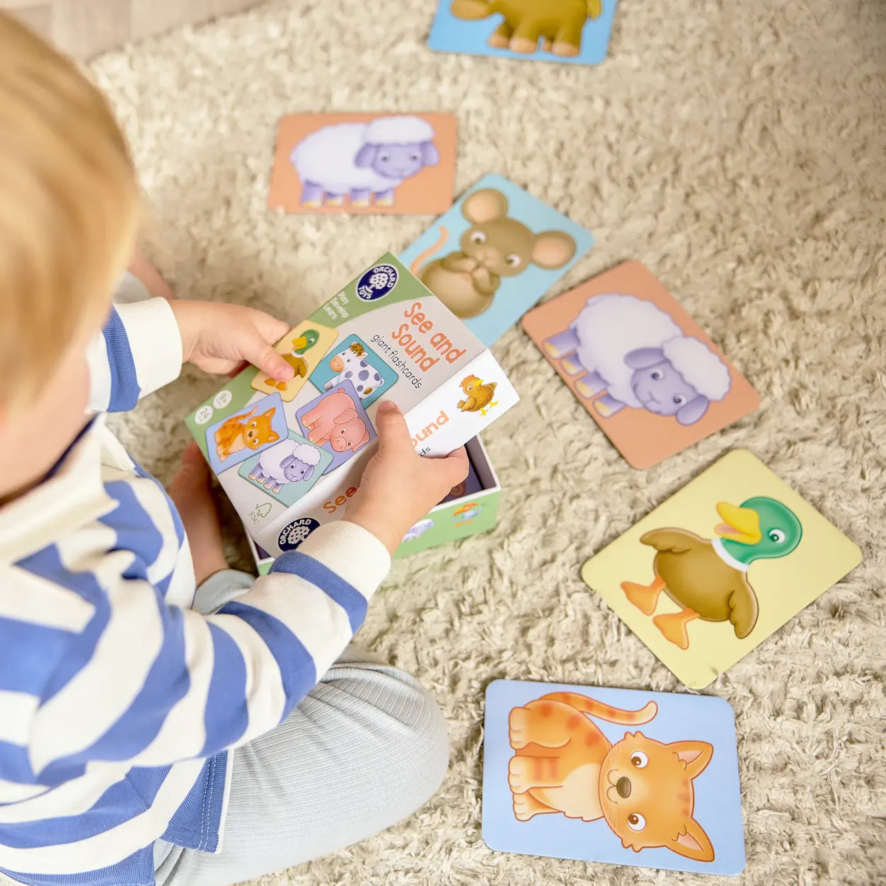 Orchard Toys See And Sound Flashcards