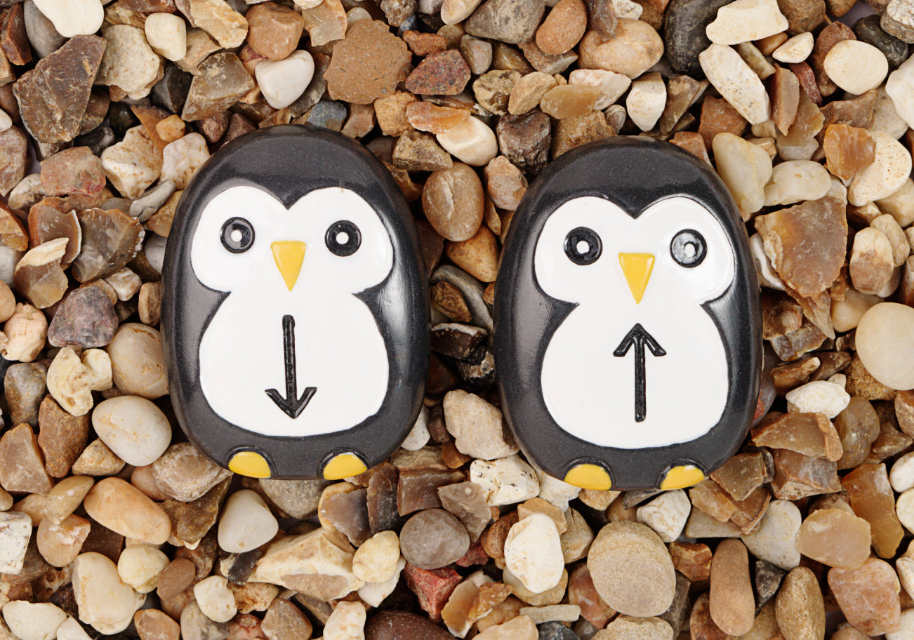Yellow Door Pre-Coding Penguin Stones