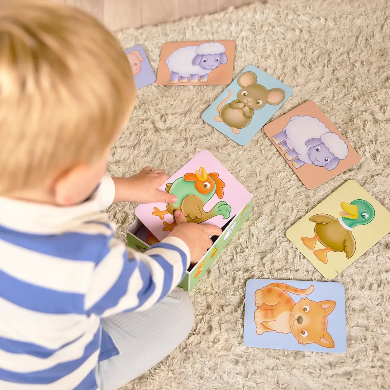 Orchard Toys See And Sound Flashcards