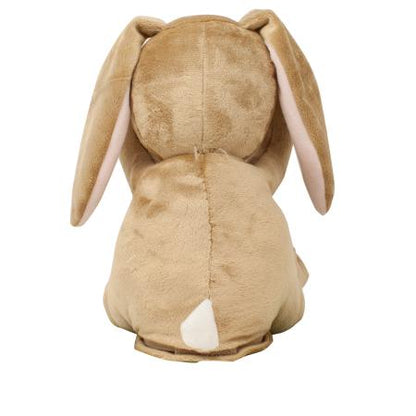 Rainbow Designs Guess How Much I Love You Peekaboo Large Hare