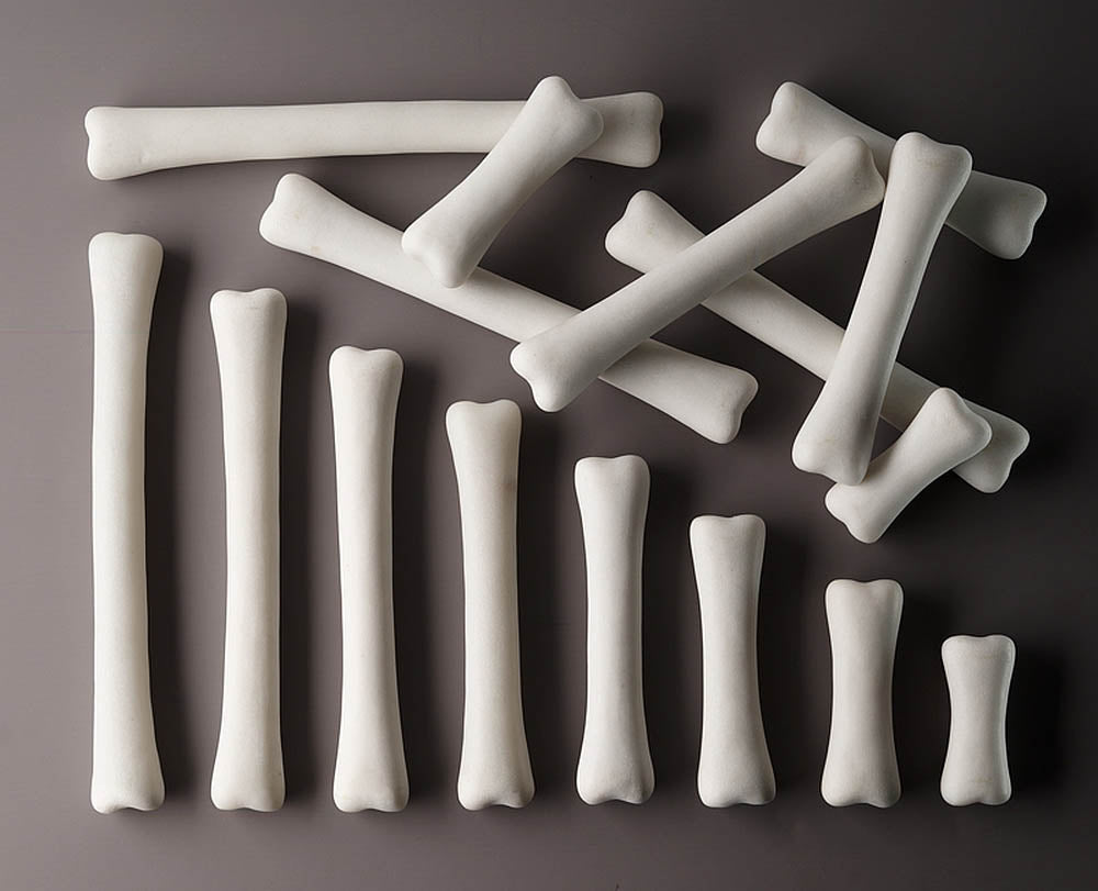 Yellow Door Dinosaur Bones Match and Measure Set