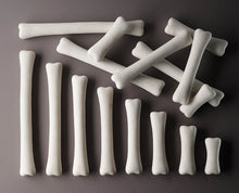 Yellow Door Dinosaur Bones Match and Measure Set