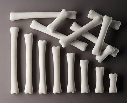 Yellow Door Dinosaur Bones Match and Measure Set