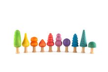 Ocamora Rainbow Forest