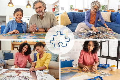 Ravensburger Vintage Vinyl, 1000pc