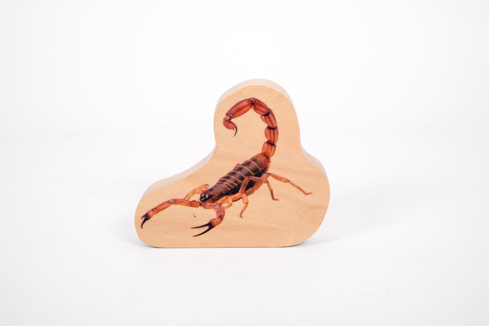 TickiT Wooden Mini Beast Blocks