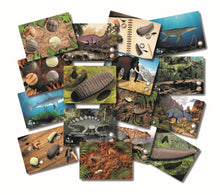 Yellow Door Prehistoric Teeth Activity Cards