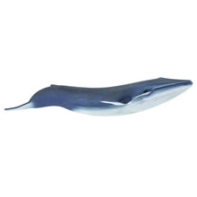 Safari Blue Whale