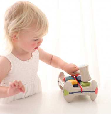 Tolo Bio Shape Sorter Playbench