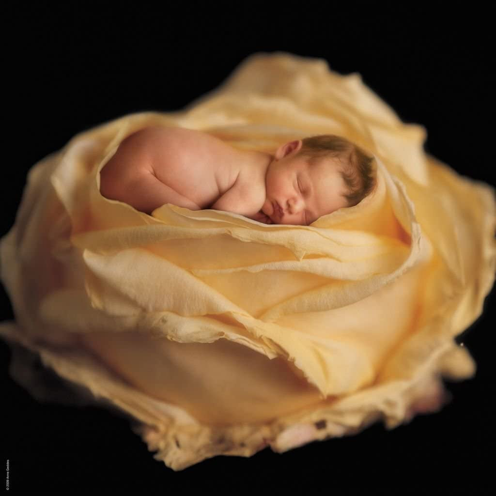 Schmidt - Anne Geddes 1000 Piece Jigsaw-58931