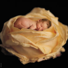 Schmidt - Anne Geddes 1000 Piece Jigsaw-58931