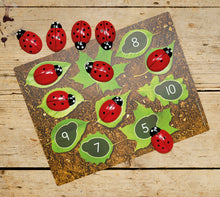 Yellow Door Ladybug Counting Cards