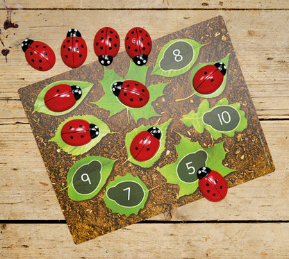 Yellow Door Ladybug Counting Cards