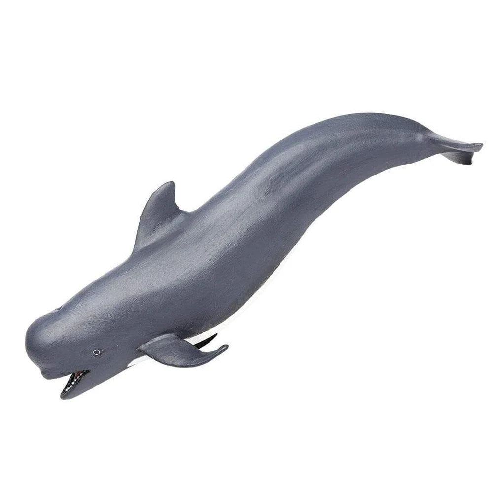 Safari Pilot Whale