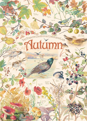Cobble Hill Puzzles 1000 Pieces Country Diary Autumn