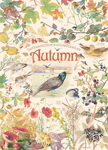 Cobble Hill Puzzles 1000 Pieces Country Diary Autumn