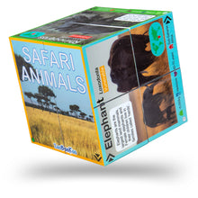 ZooBooKoo Safari Animals