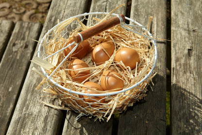 Yellow Door Play Eggs