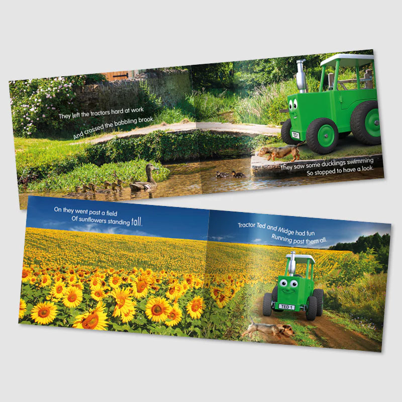 Tractor Ted A Summer's Day Book
