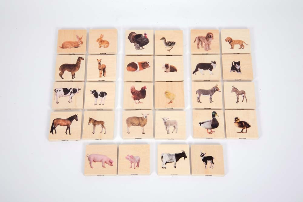 TickiT Domestic Animal Family Match