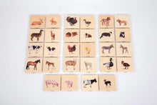 TickiT Domestic Animal Family Match