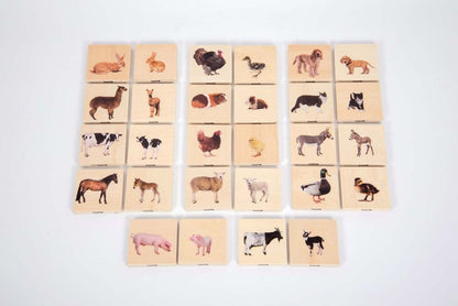 TickiT Domestic Animal Family Match