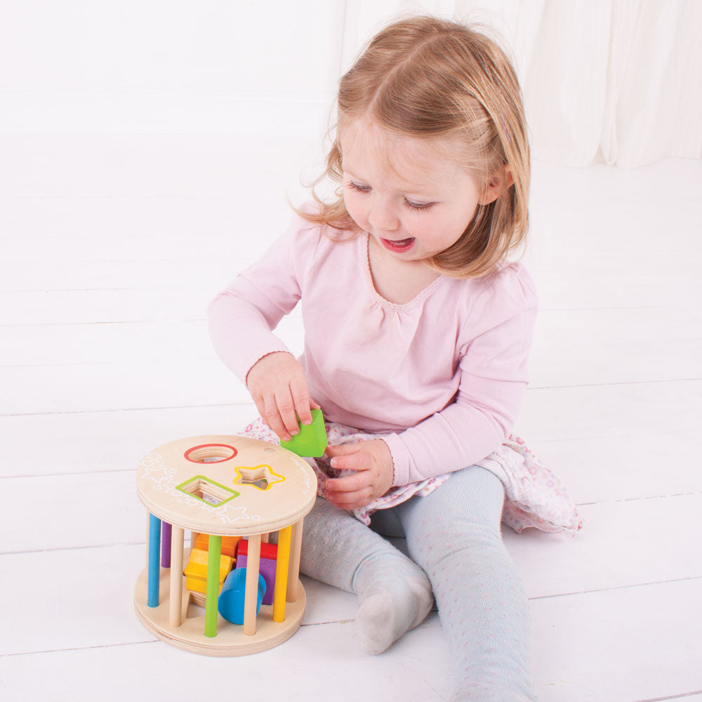 BigJigs Rolling Sorter