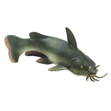 Safari Catfish