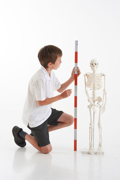 TickiT Half-Scale Skeleton