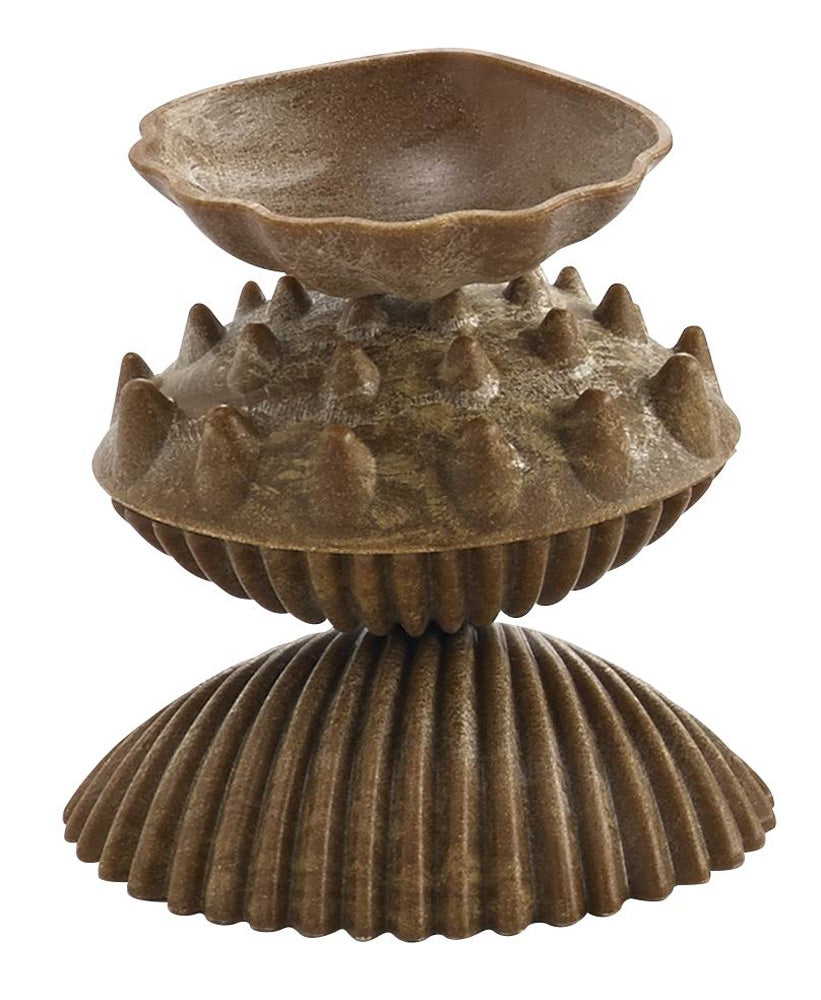 Edx Education Eco Friendly Tactile Shells