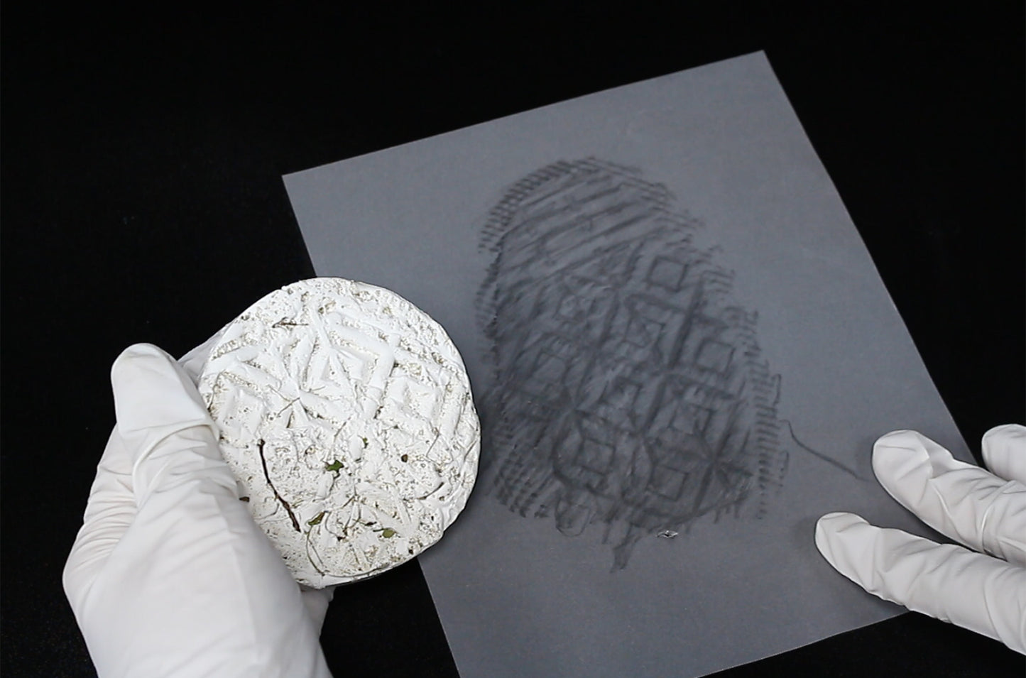 Wild! Science Forensic Science Lab