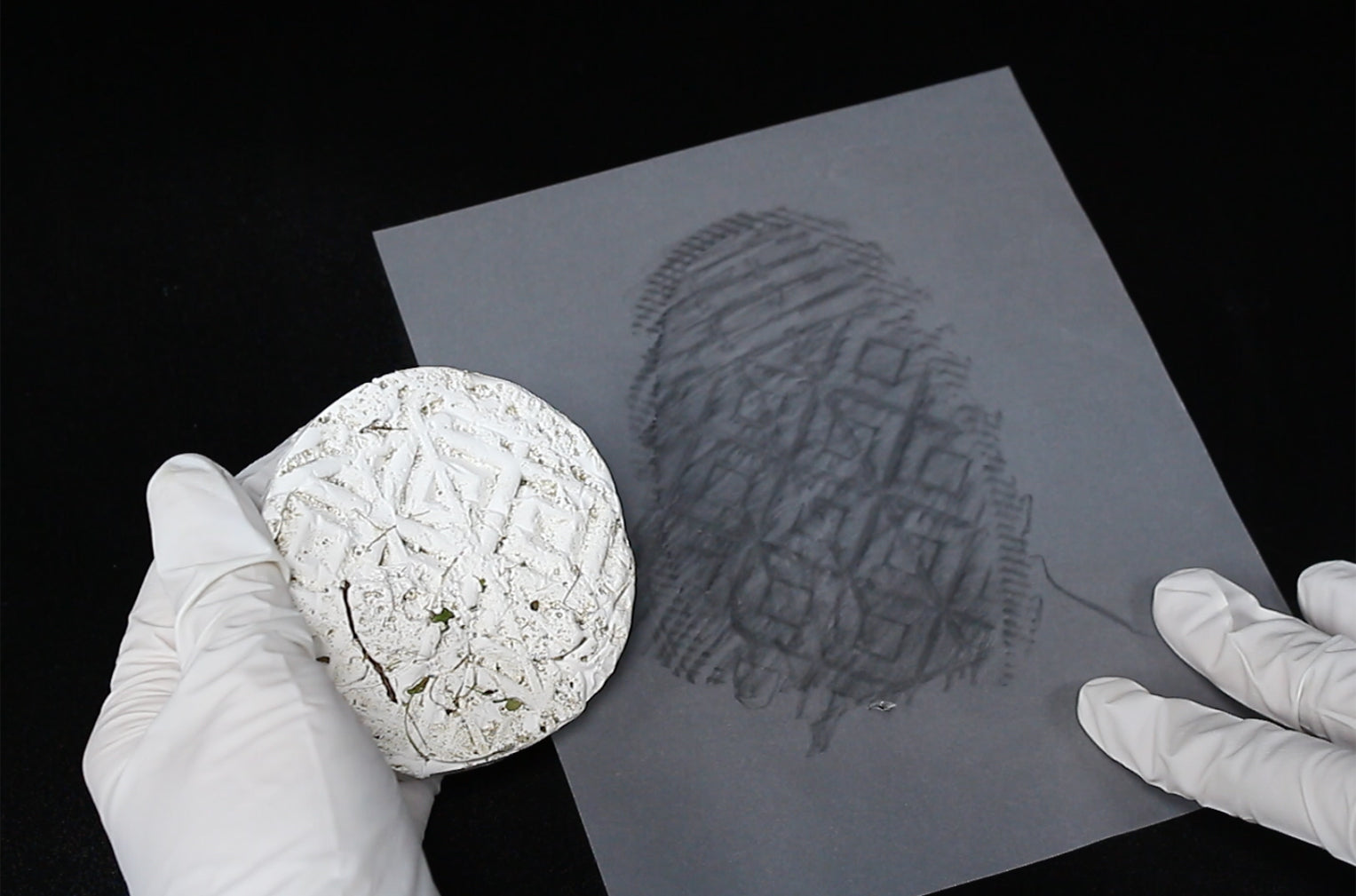 Wild! Science Forensic Science Lab