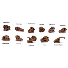 Safari Toob Dinosaur Skulls (11 Pieces)