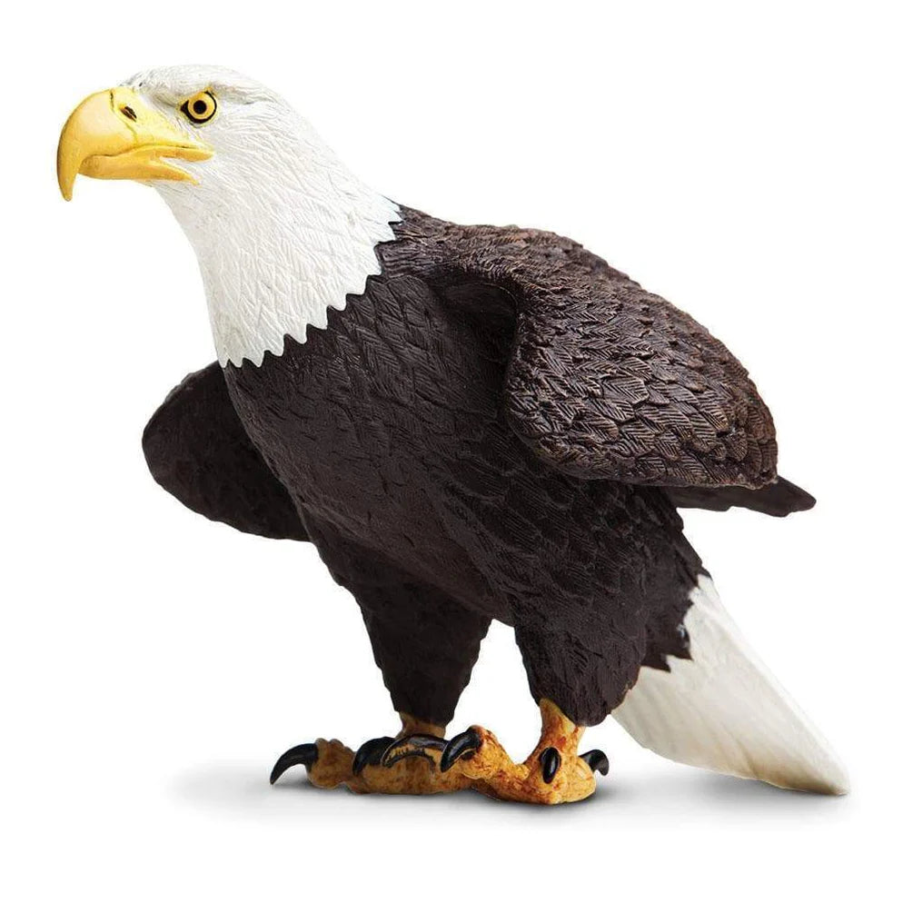 Safari Bald Eagle