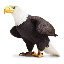 Safari Bald Eagle