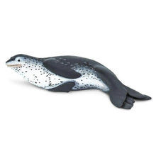 Safari Leoprd Seal