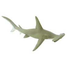 Safari Hammerhead Shark