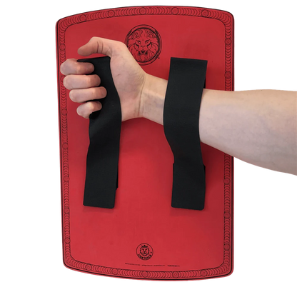 Liontouch Roman Lion Shield