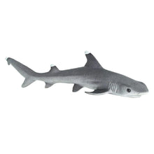 Safari Whitetip Reef Shark