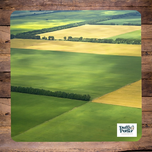 Duffy&Porter Field Play Scene