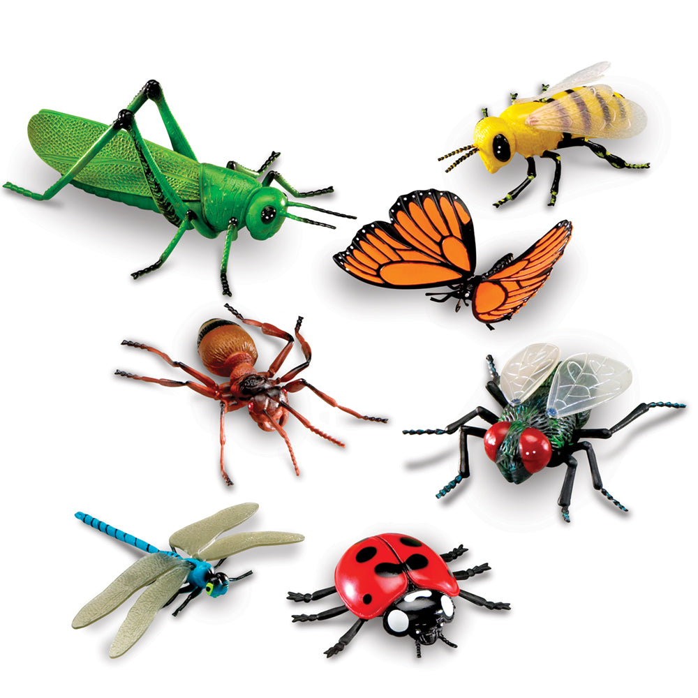 Learning Resources Jumbo Insects
