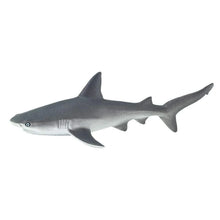 Safari Gray Reef Shark