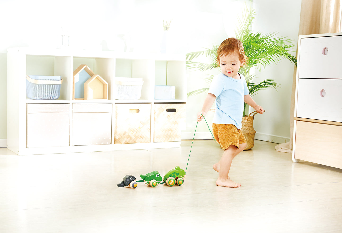 Hape Pull-Along Frog Family