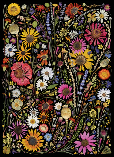 Cobble Hill Puzzles 1000 Pieces Flower Press: Happiness