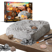Discovery #MINDBLOWN Toy Fossil Excavation Kit 15pc
