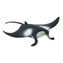 Safari Manta Ray
